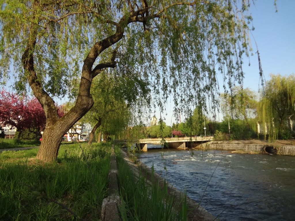 01.soare