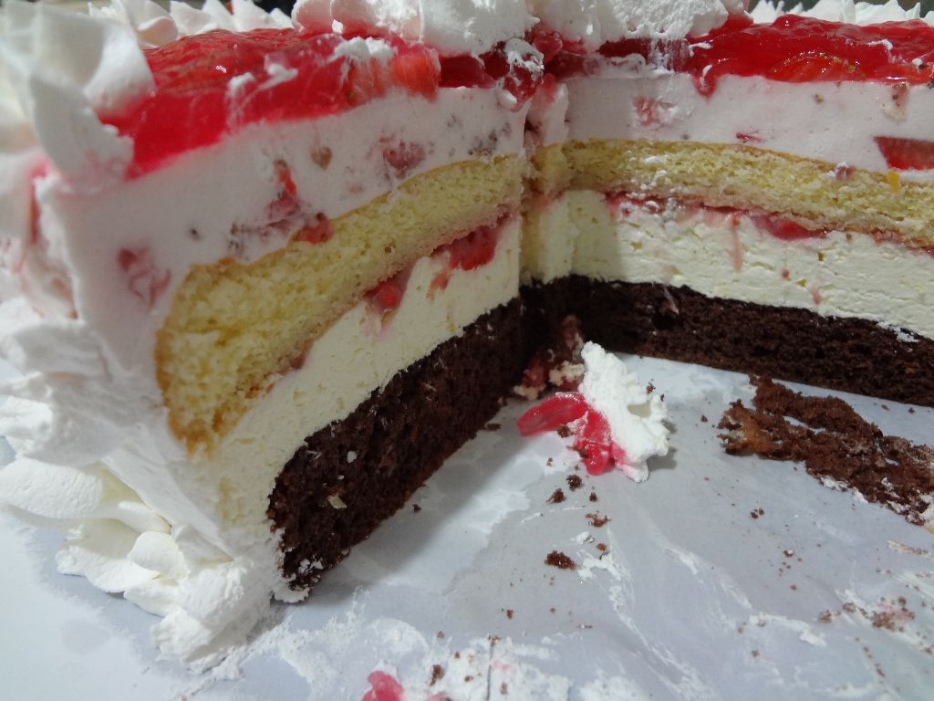 05.tort