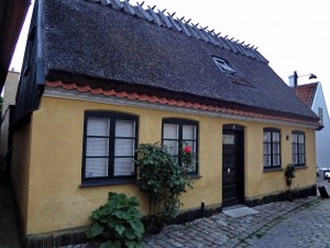 DSC06075