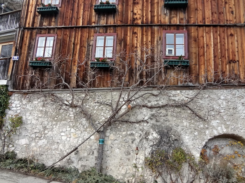 Hallstatt (11)