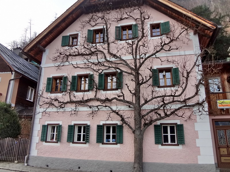 Hallstatt (3)