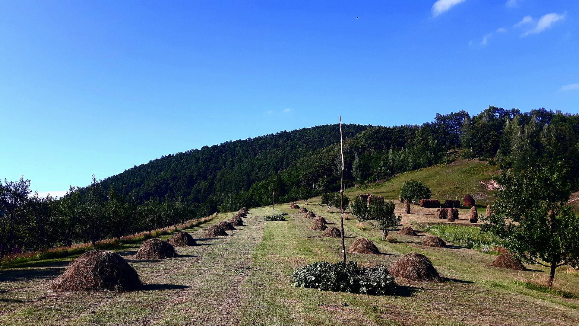 Maramures frumos (5)