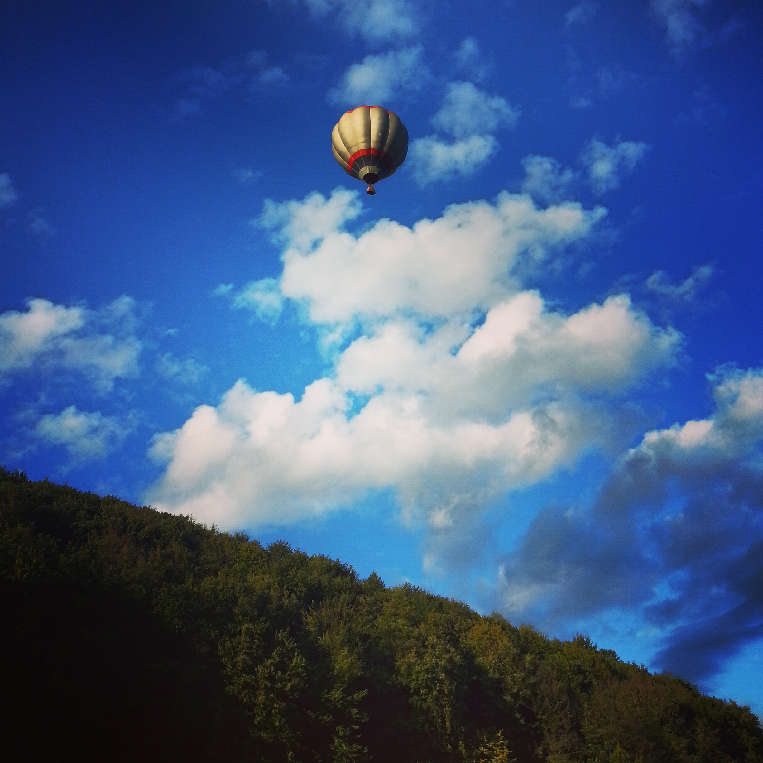 Parada Baloanelor 2015 (14)