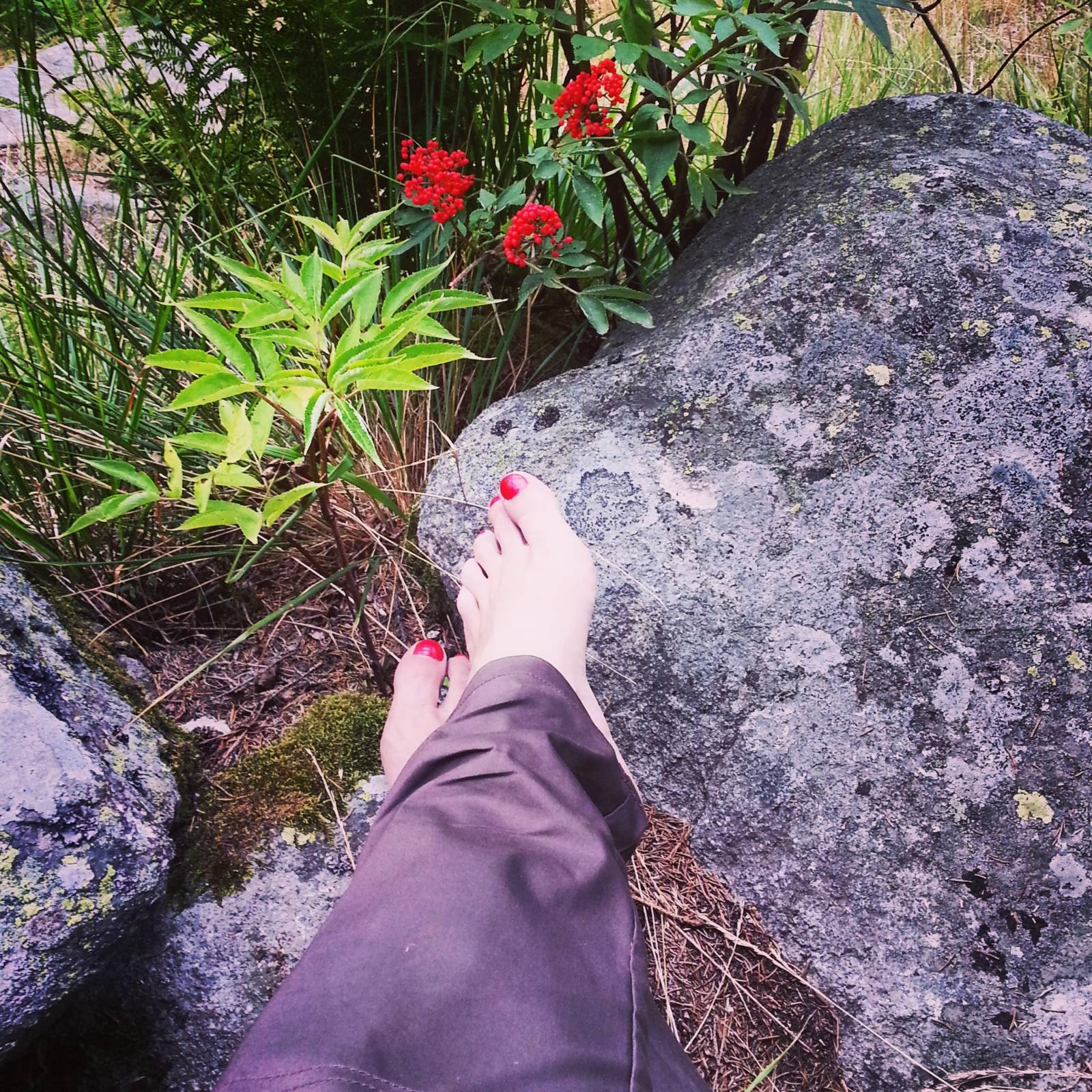 Retezat, august 2015 (19)
