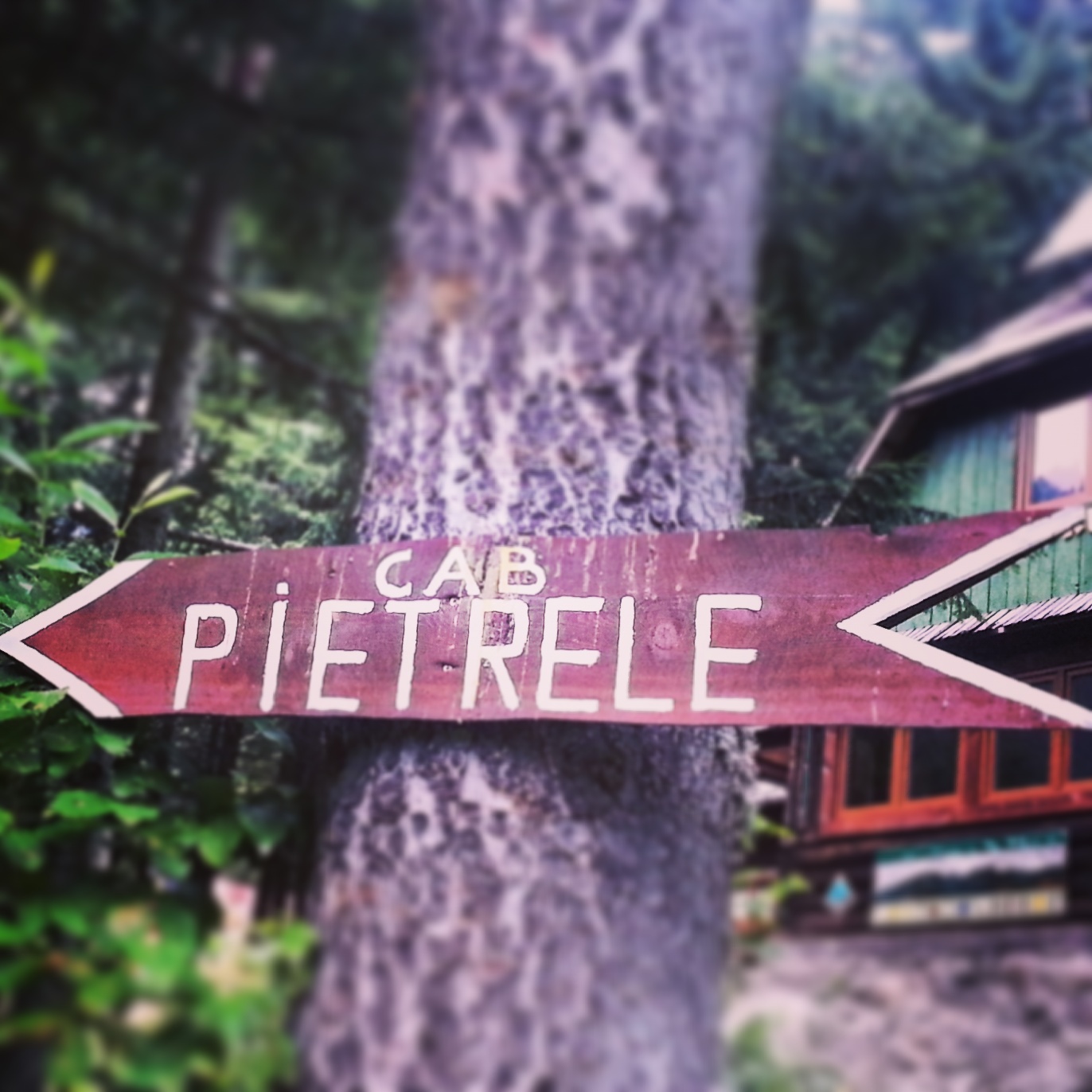 Retezat, august 2015 (22)
