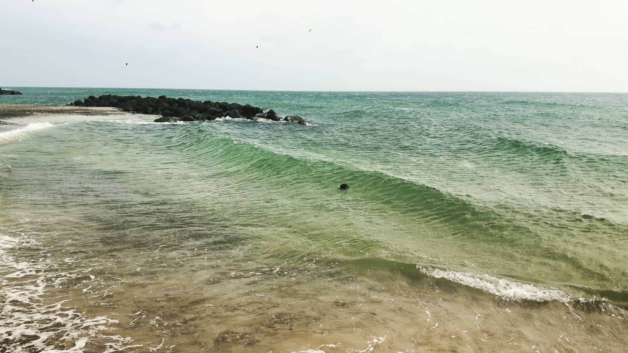 Skagen (3)