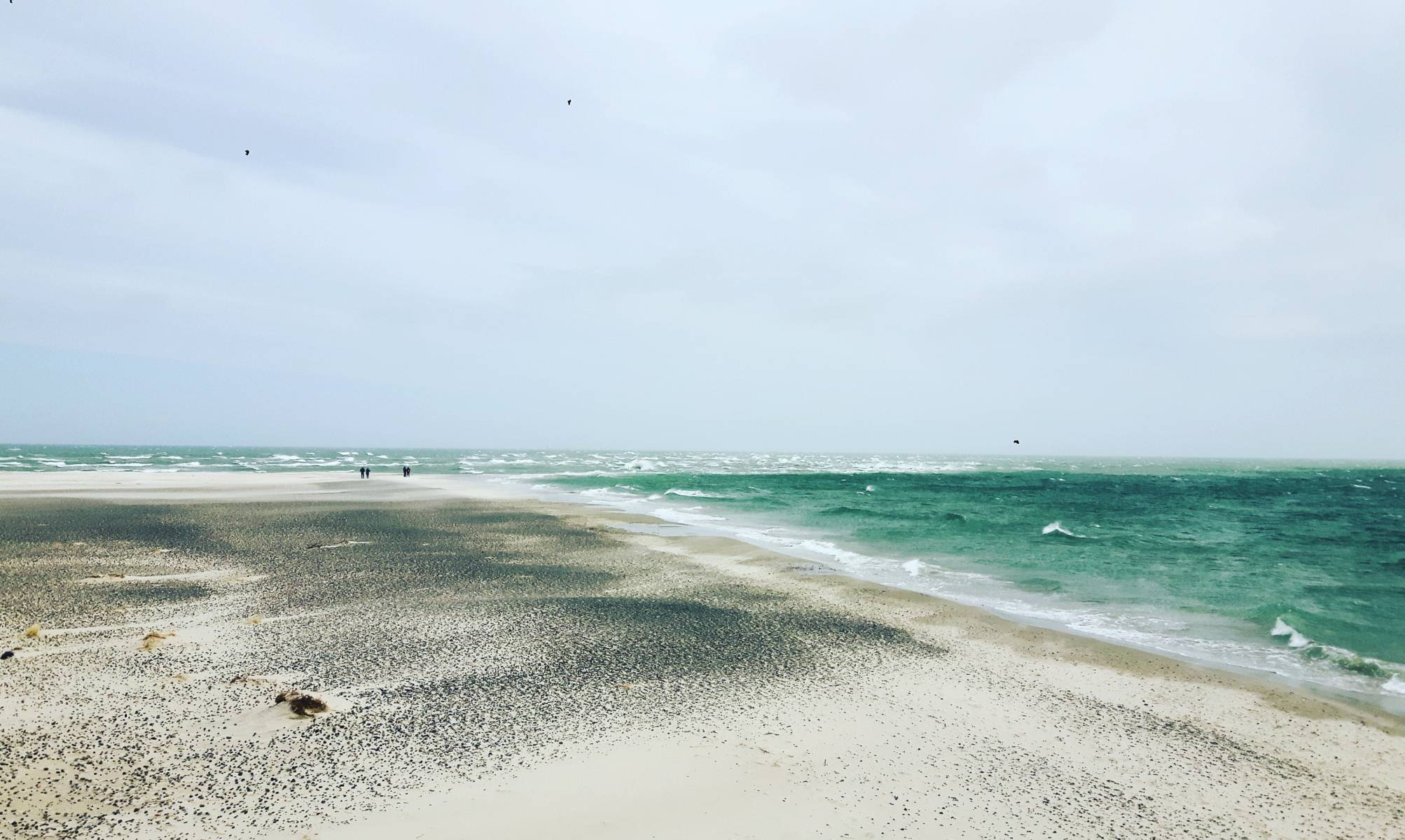 Skagen (9)