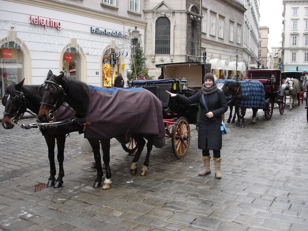 Viena,2005