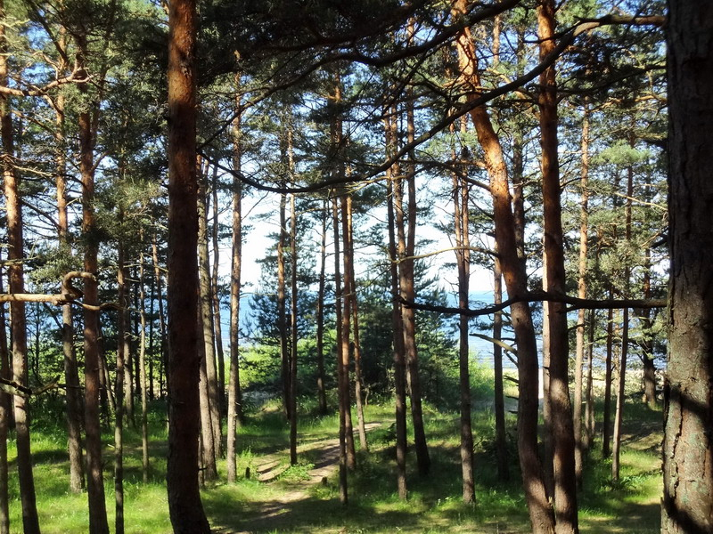 baltic sea 1