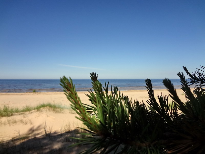 baltic sea 2