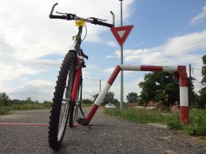 biciclistice (10)