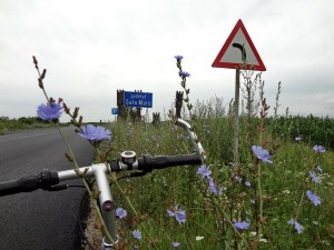 biciclistice (3)
