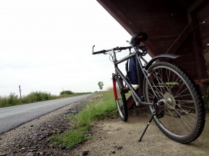 biciclistice (6)