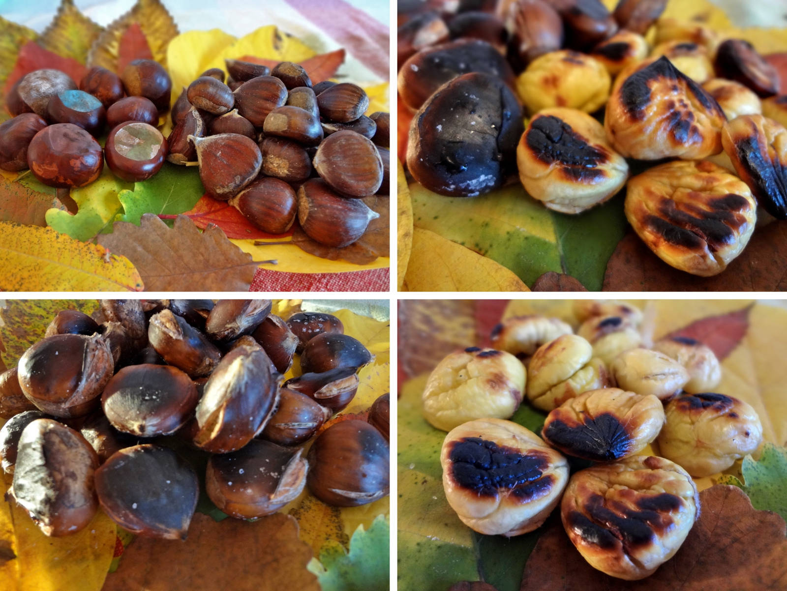 castane