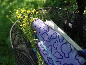 cycling (5)