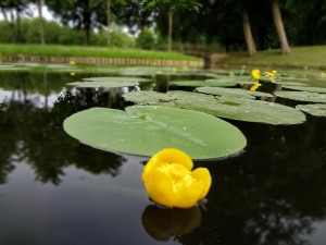 schwerin (11)