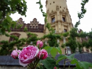 schwerin (8)
