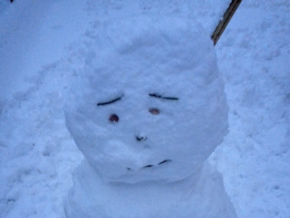 snow (4)