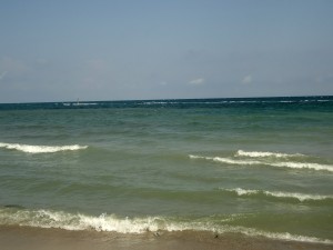 toamna(1)